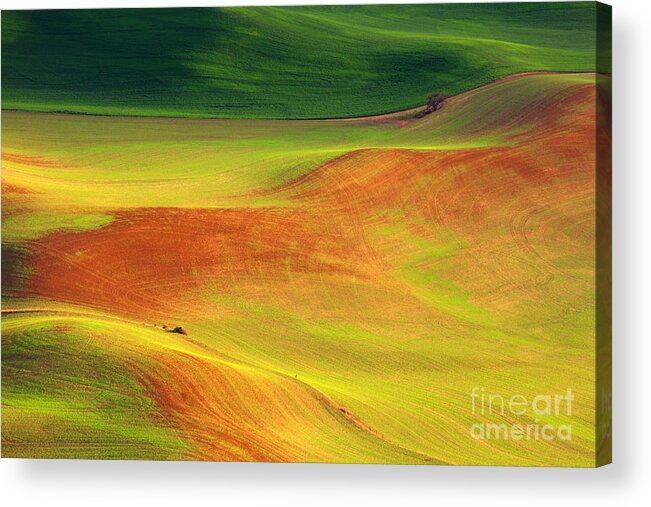 Fields Acrylic Print featuring the photograph Palouse Patterns by Beve Brown-Clark Photography