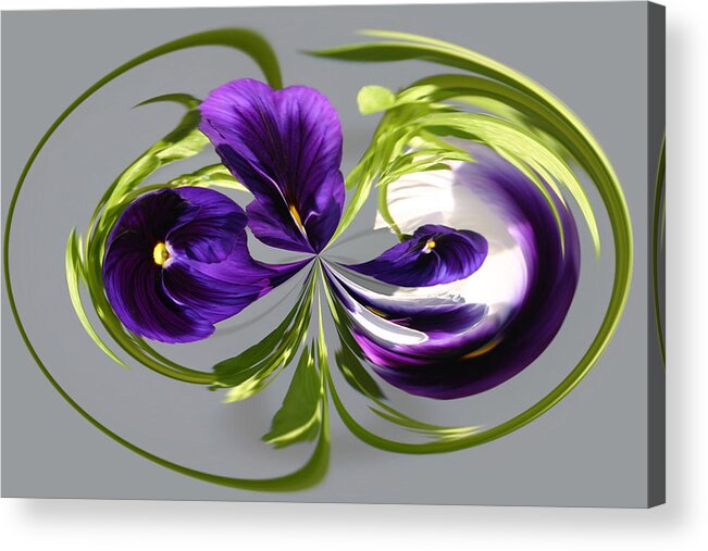 Flowers Acrylic Print featuring the photograph Pansy Series 801 by Jim Baker