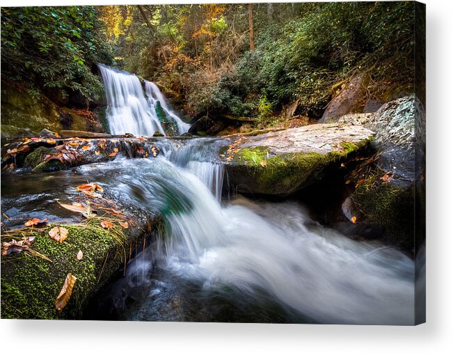 Appalachia Acrylic Print featuring the photograph Parachuting by Debra and Dave Vanderlaan