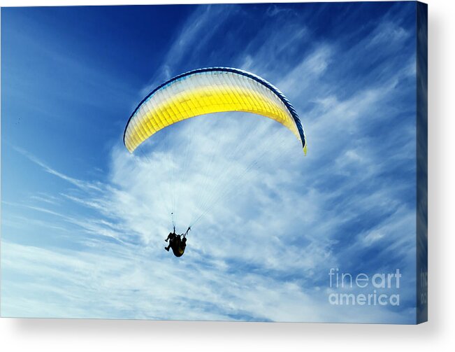 Paragliding Acrylic Print featuring the photograph Paraglider by Jelena Jovanovic