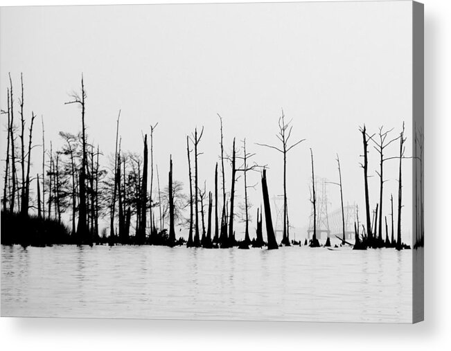 Lake Pontchartrain Acrylic Print featuring the photograph Pass Manchac by Charlotte Schafer