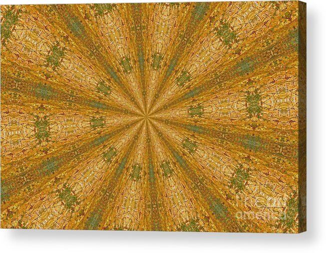 Golds Acrylic Print featuring the photograph Patchwork by Geraldine DeBoer