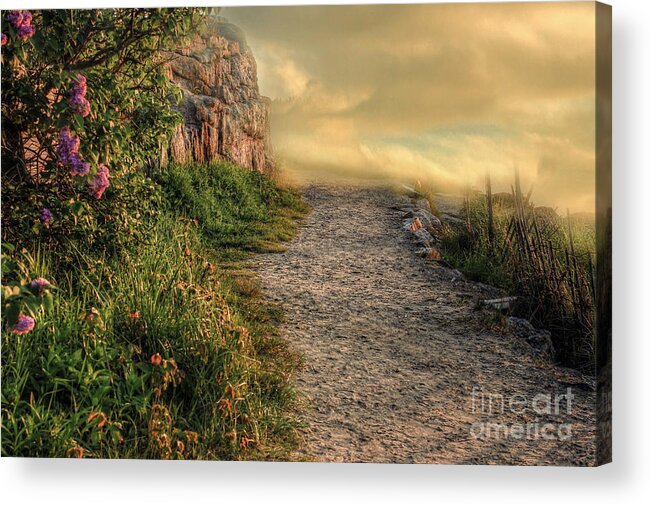 Enchantment Acrylic Print featuring the photograph Path of Enchantment by Brenda Giasson