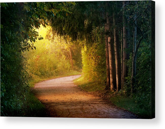 Trail Acrylic Print featuring the photograph Path to Enlightenment by Rob Blair