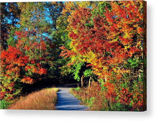 Fall Acrylic Print featuring the photograph Path to Fall by Lynn Bauer