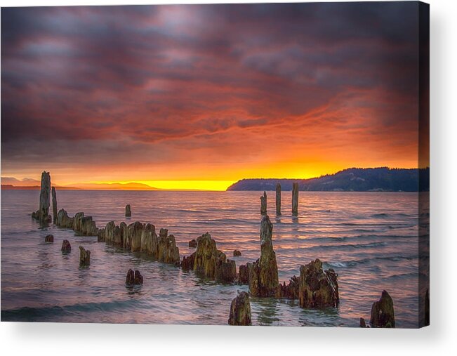 Bellingham Acrylic Print featuring the photograph Patience by Ryan McGinnis