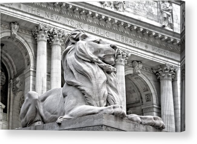 New York Public Library Acrylic Print featuring the photograph Patience The NYPL Lion by Susan Candelario