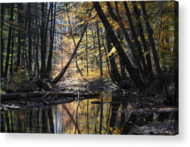 Landscape Acrylic Print featuring the photograph Peace and Quiet by Jack Harries
