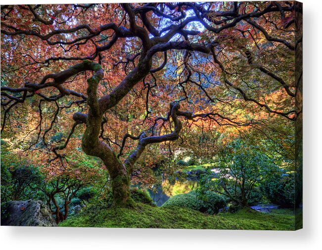 Hdr Acrylic Print featuring the photograph Peaceful Autumn Morning by Brad Granger