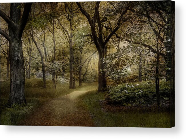 Woodland Acrylic Print featuring the photograph Peaceful Passage by Robin-Lee Vieira