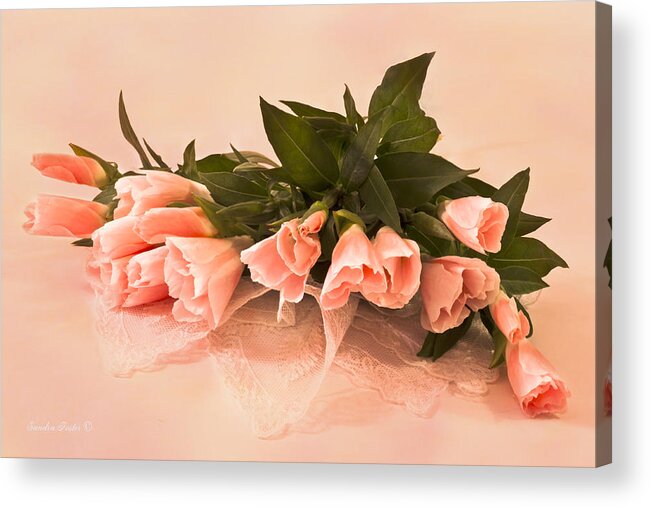 Peach Godetia Acrylic Print featuring the photograph Peach Godetia's And Lace by Sandra Foster