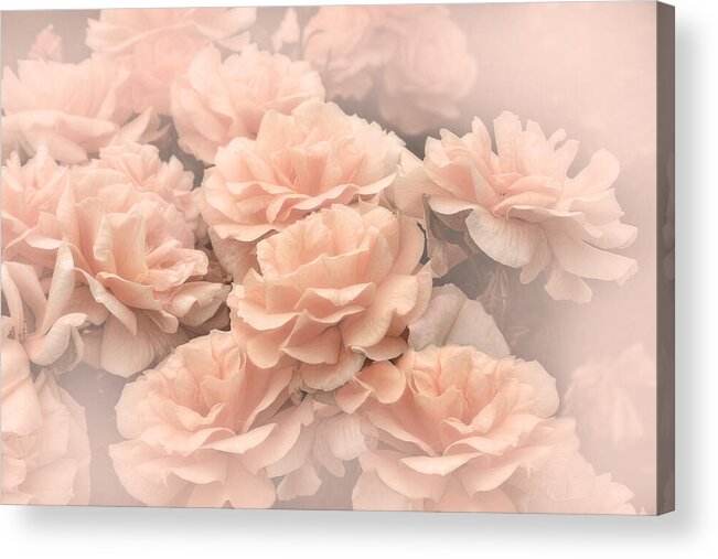 Rose Acrylic Print featuring the photograph Peach Pastels Rose Garden by Jennie Marie Schell