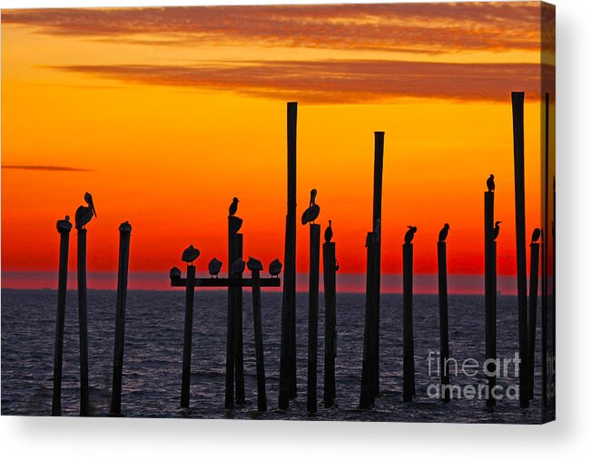 New Orleans Photos Acrylic Print featuring the photograph Pelican Sunset in Louisiana by Luana K Perez