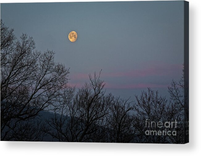 Full Moon Acrylic Print featuring the photograph Peregrien Full Moon by Ronald Lutz