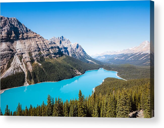 Tranquility Acrylic Print featuring the photograph Peyto lake, Banff National Park, Alberta, Canada by Matteo Colombo