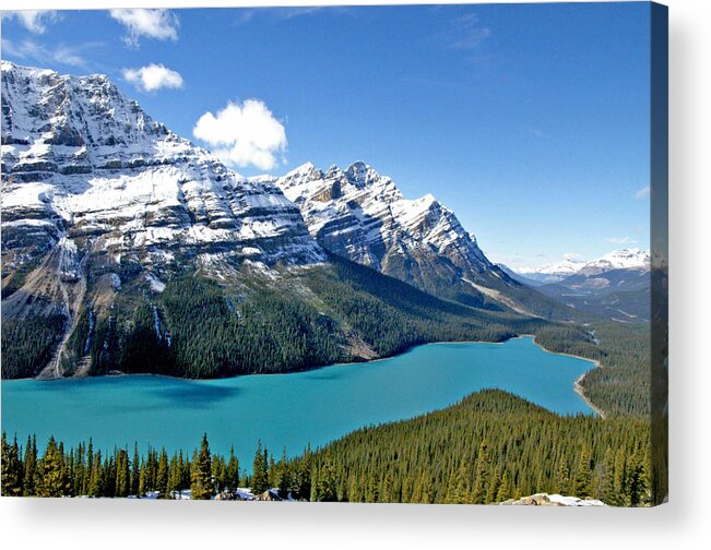 Canada Acrylic Print featuring the photograph Peyto Lake October by Jeremy Rhoades