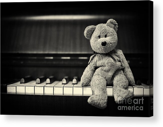 Teddy Bear Acrylic Print featuring the photograph Piano Bear by Tim Gainey