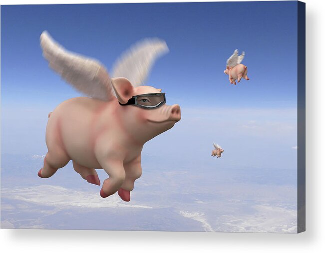 Pigs Fly Acrylic Print featuring the photograph Pigs Fly 1 by Mike McGlothlen