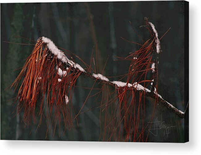 Acrylic Print featuring the photograph Pine Needles by Jim Vance