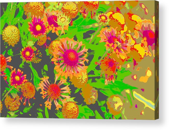 Pink Acrylic Print featuring the photograph Pink Orange Flowers by Suzanne Powers