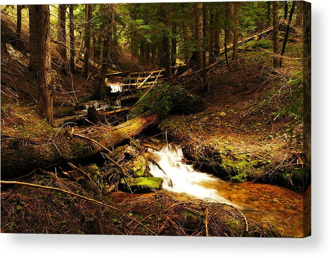 Rivers Acrylic Print featuring the photograph Placer Creek by Jeff Swan