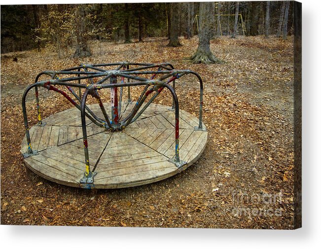 Woods Acrylic Print featuring the photograph Playground in the Woods by Tom Brickhouse