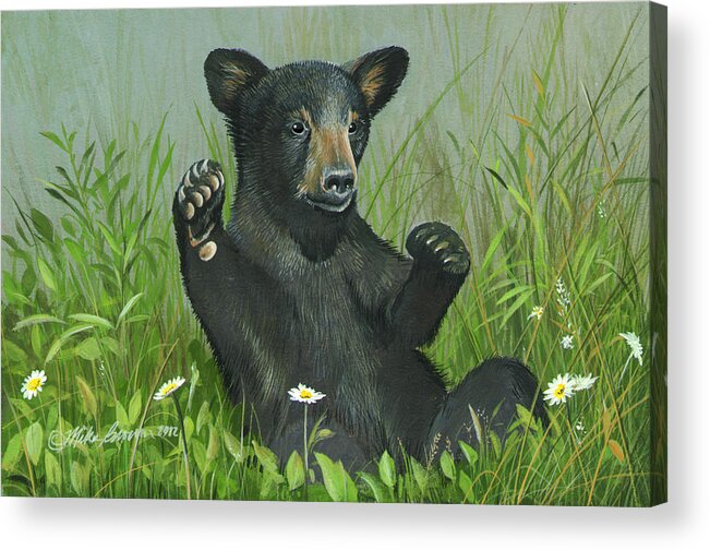 Black Bear Acrylic Print featuring the painting Playtime by Mike Brown