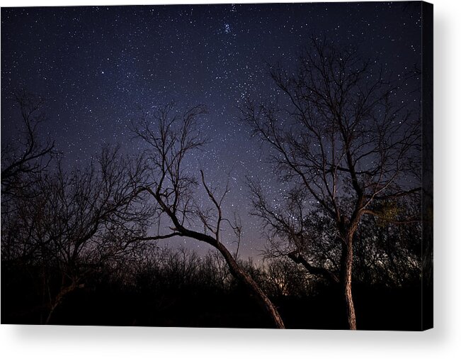 Stars Acrylic Print featuring the photograph Pleiades in the Night Sky by Melany Sarafis
