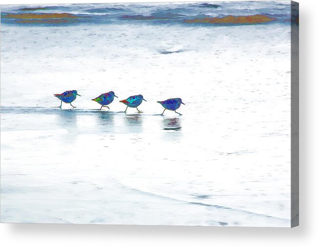 Beach Acrylic Print featuring the photograph Plovers in a Row by Allan Van Gasbeck