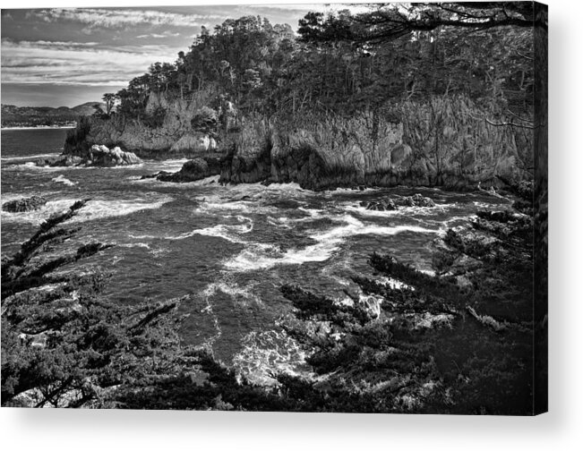 Point Lobo Acrylic Print featuring the photograph Point Lobo by Ron White