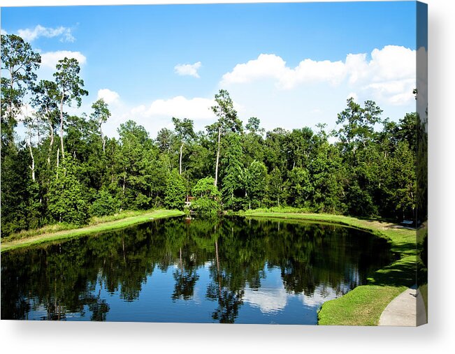 Hardwood Tree Acrylic Print featuring the photograph Pond In Texas Surrounded By Trees by Fstop123