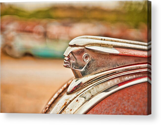 George Buxbaum Acrylic Print featuring the photograph Pontiac Indian by George Buxbaum