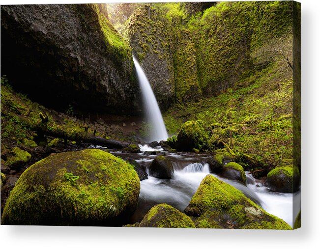 Ponytail Acrylic Print featuring the photograph Ponytail Falls by Andrew Kumler