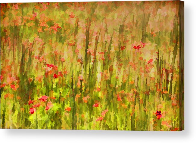 Flowers Meadow Acrylic Print featuring the painting Poppies of Tuscany II by David Letts
