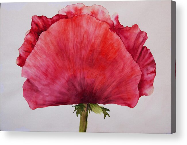 Poppy Acrylic Print featuring the painting Poppy by Sally Quillin