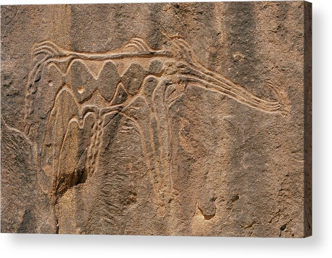 Petroglyph Acrylic Print featuring the photograph Prehistoric Petroglyph by Sinclair Stammers/science Photo Library