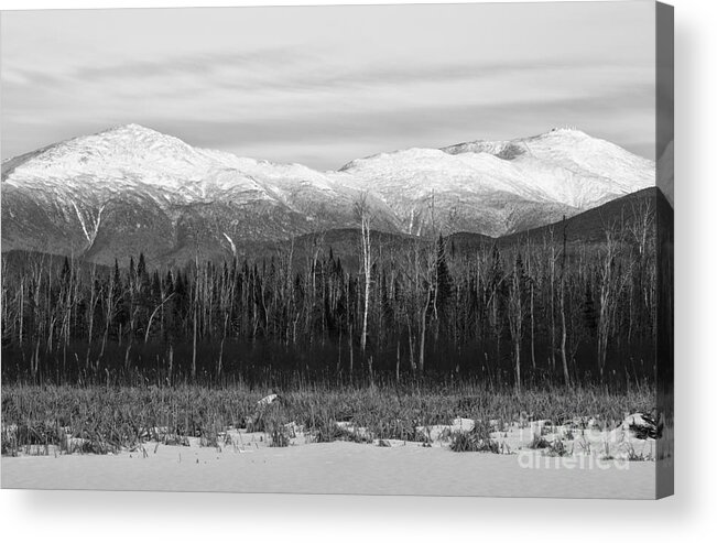 Cohos Regional Trail Acrylic Print featuring the photograph Presidential Range - Pondicherry Wildlife Refuge New Hampshire by Erin Paul Donovan
