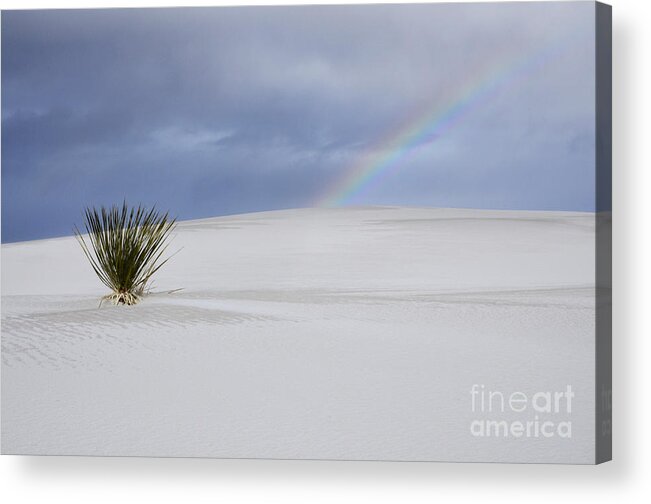 Alamagordo Acrylic Print featuring the photograph Promise Of New Mexico by Bob Christopher