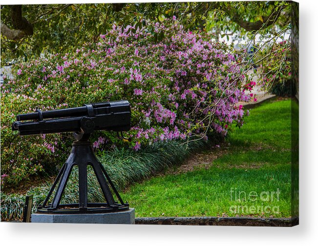 Battery Park Acrylic Print featuring the photograph Protect the Park by Dale Powell