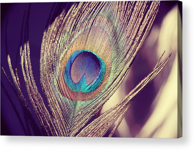 Peacock Acrylic Print featuring the photograph Proud as a peacock by Nastasia Cook