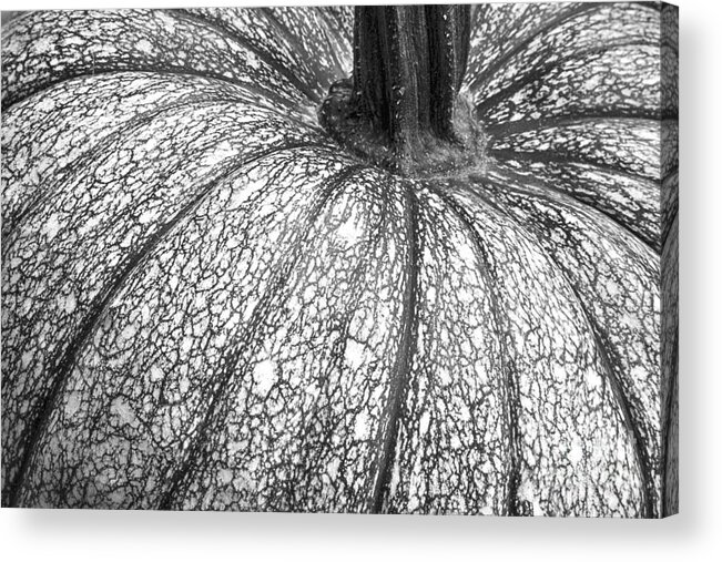 Pumpkin Acrylic Print featuring the photograph Pumpkin Pumpkin Black and White by James BO Insogna