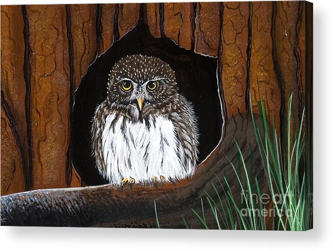 Owl Acrylic Print featuring the painting Pygmy Owl by Jennifer Lake