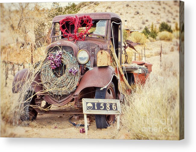 Rusty Acrylic Print featuring the photograph Quite the Mailbox by Diane Enright