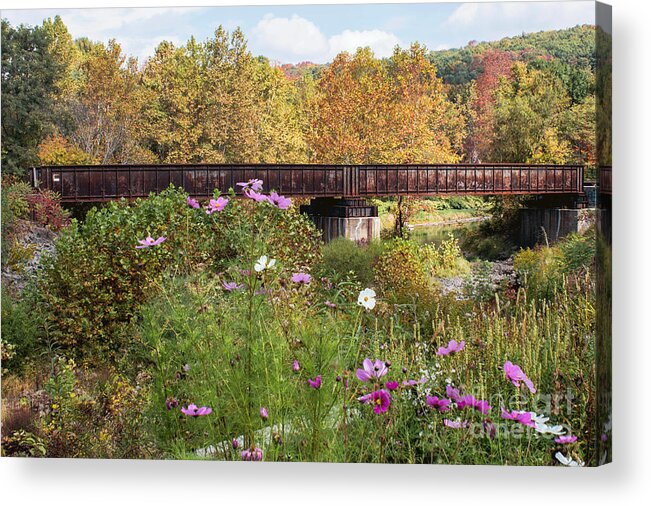 Railroad Acrylic Print featuring the photograph Railroad Bridge by Arlene Carmel