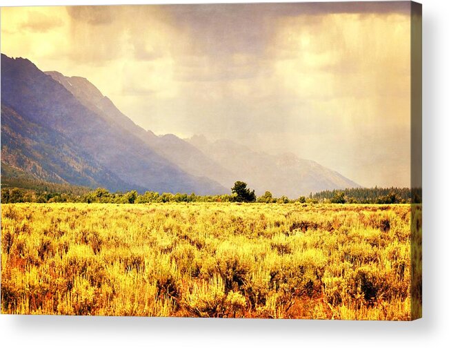 Landscape Acrylic Print featuring the photograph Rain on the Sagebrush by Marty Koch