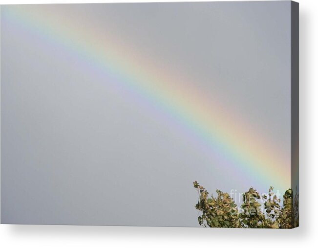 Rainbow Acrylic Print featuring the photograph Rainbow After the Rain by Barbara A Griffin