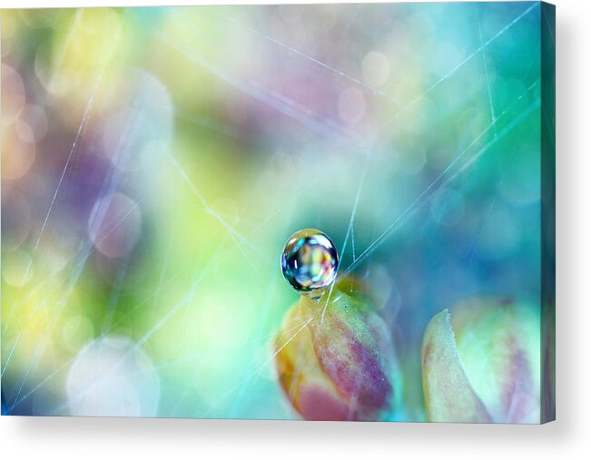 Water Acrylic Print featuring the photograph Rainbow Drop by Sharon Johnstone