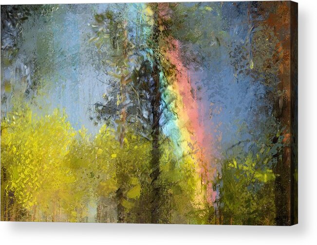 Beauty Acrylic Print featuring the digital art Rainbow in the forest by Debra Baldwin