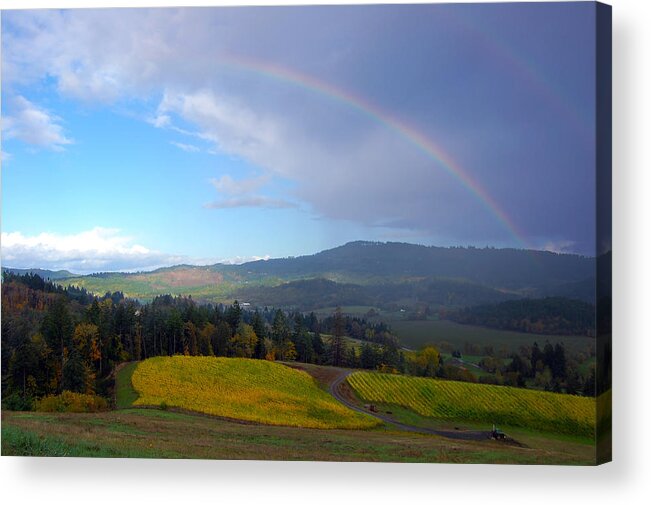 Vineyard Acrylic Print featuring the photograph Rainbow Over Vineyard by Sherrie Triest