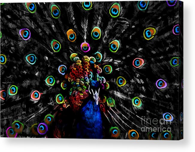 Colorful Peacock Acrylic Print featuring the digital art Rainbow Peacock by Jayne Carney